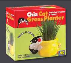 Chia Cat Grass